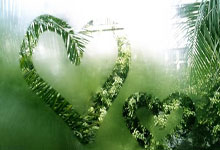 PG电子-法国杯加时末段走向成谜，纽卡斯尔手感冰凉，底气十足，更衣室氛围转暖(法国杯决赛有加时吗)